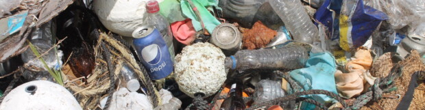 Operation Marine Debris – St. Marks National Wildlife Refuge 2019 Results